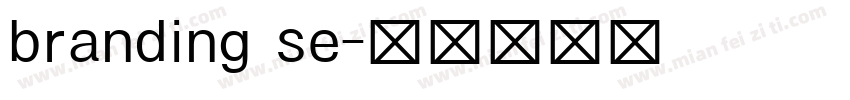 branding se字体转换